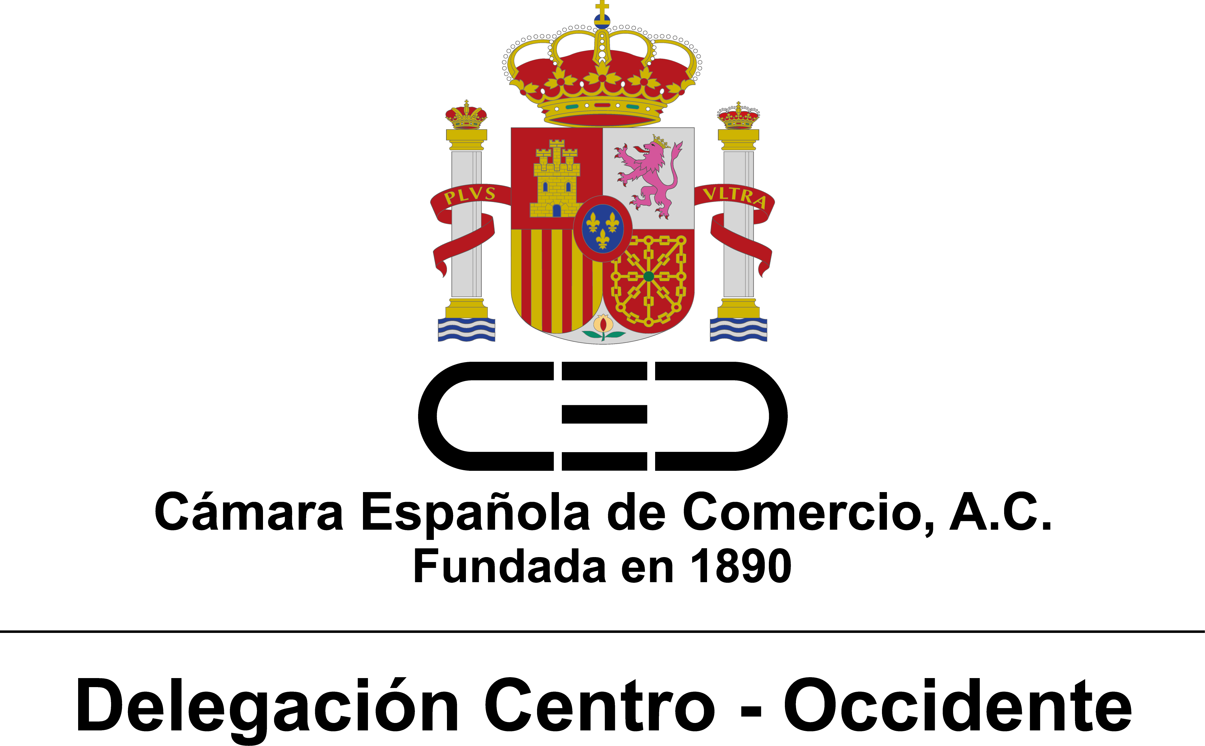 LOGO DELEGACIÓN CENTRO - OCCIDENTE